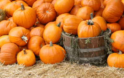 Best Pumpkin Patches in Los Angeles (Updated)